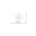 Drzewo: kartki do kolorowania - A6, 200 szt