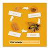 Rozwój pszczoły: karta kontrolna, PL