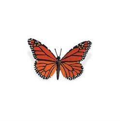 Cykl rozwój motyla: motyl-8163