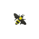 Pszczoła-8295
