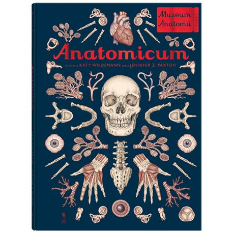 Anatomicum-9841