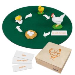Rozwój kury: figurki w pudełku, PL
