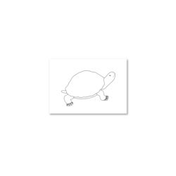 Żółw: kartki do kolorowania - A6, 200 szt