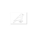 Ptak: kartki do kolorowania - A6, 200 szt