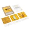 Rozwój pszczoły: karty z tacką, PL