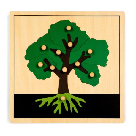 Puzzle botaniczne: drzewo