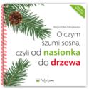 O czym szumi sosna