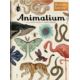 W muzeum. Animalium