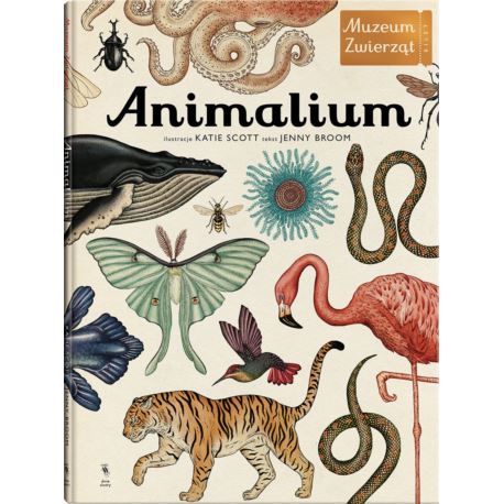 W muzeum. Animalium