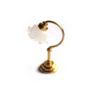 Lampa