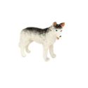 Husky