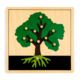 Puzzle botaniczne: drzewo
