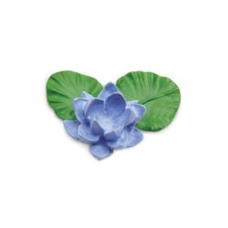 Nenufar
