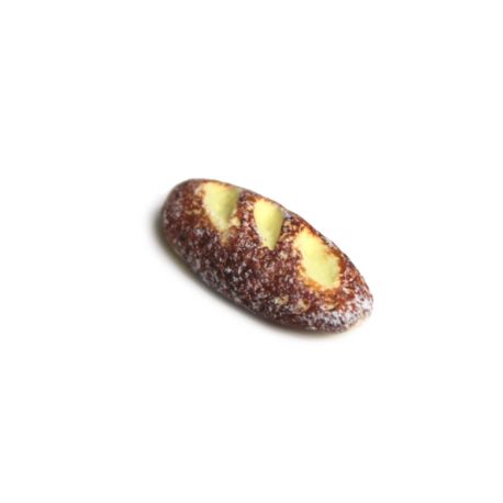 Chleb