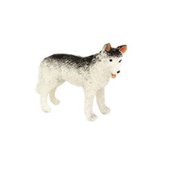 Husky